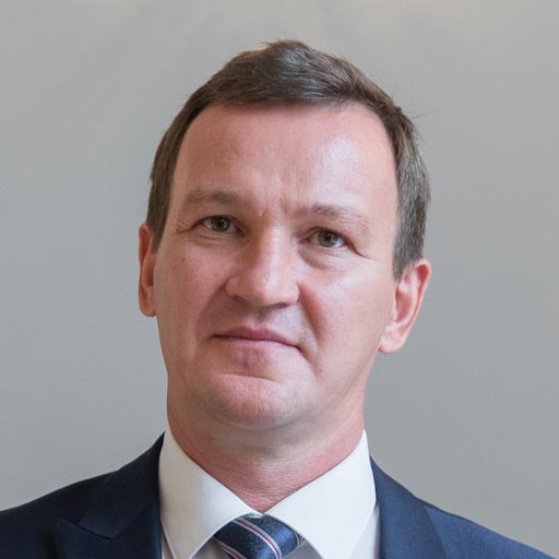 Pavel G. Gabdullin